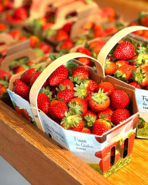 Plantations Stéphan Perreault