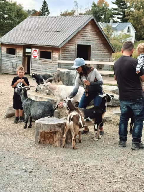plantations Stéphan Perreault