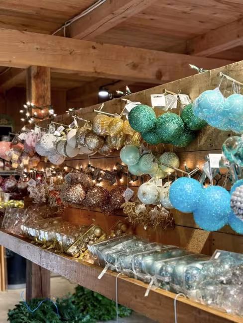 Plantstions Stéphan Perreault