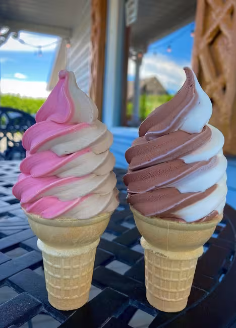 Bar Laitier Bizz Glace