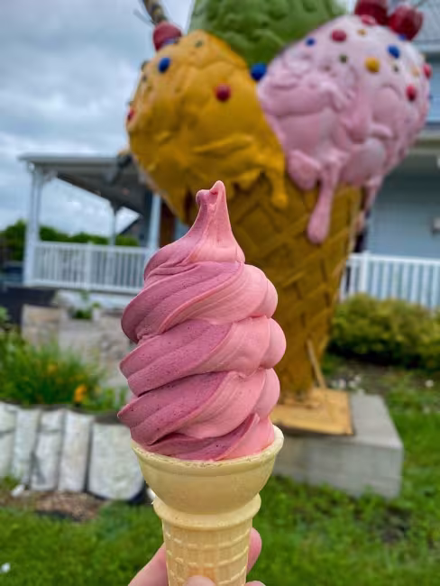 Bar Laitier Bizz Glace