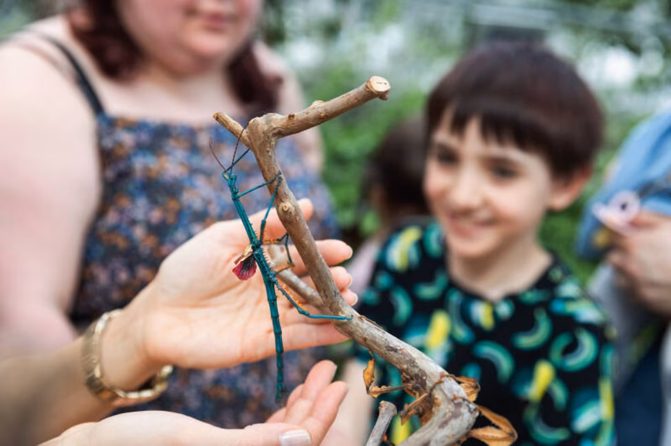 Insectarium - Espace pour la vie - Famille