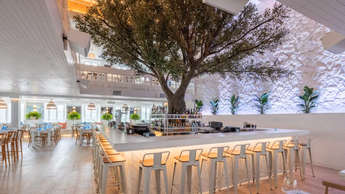 Pangea Restaurant Et Bar - Intérieur