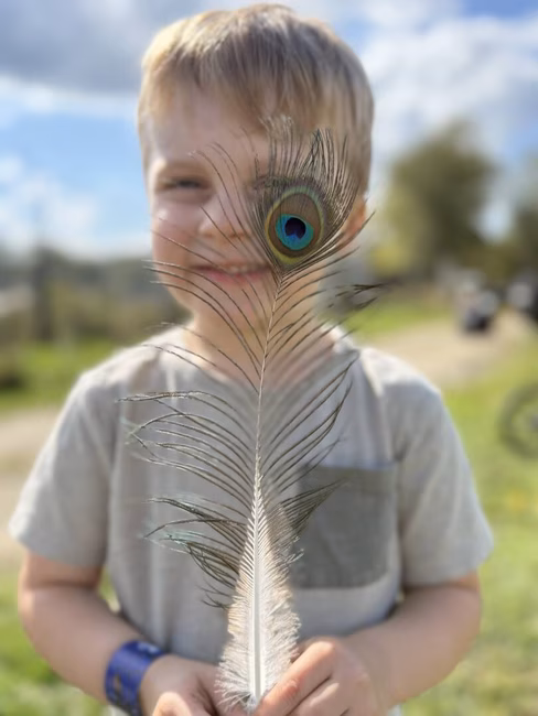 Enfant, plume de paon