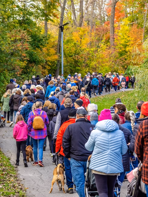 Grande marche au Parc regional des Îles-de-Saint-Timothée