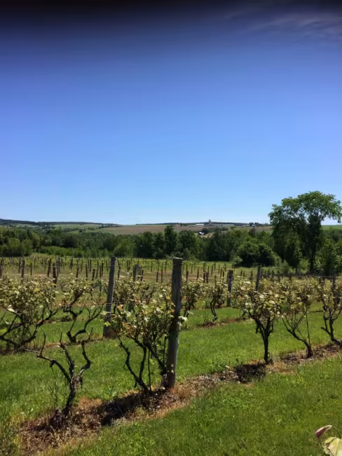 Tourisme Centre-du-Québec