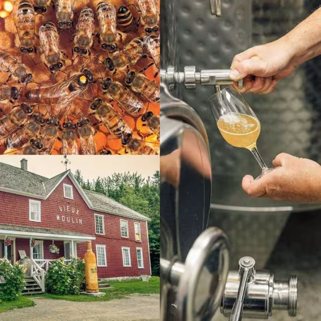 Vieux Moulin - Vin de miel