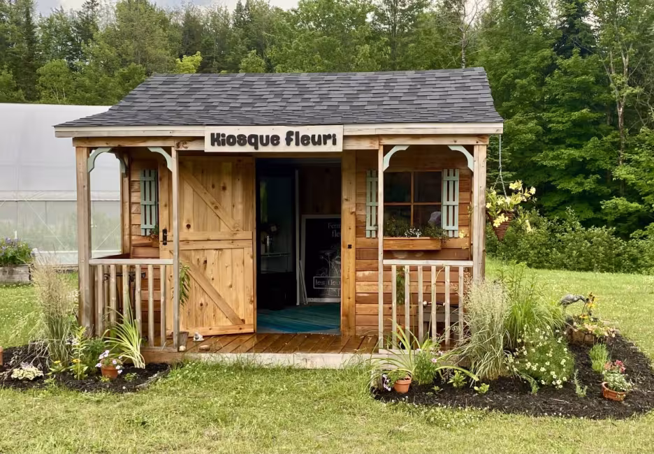 Les fleurs sèment - 1