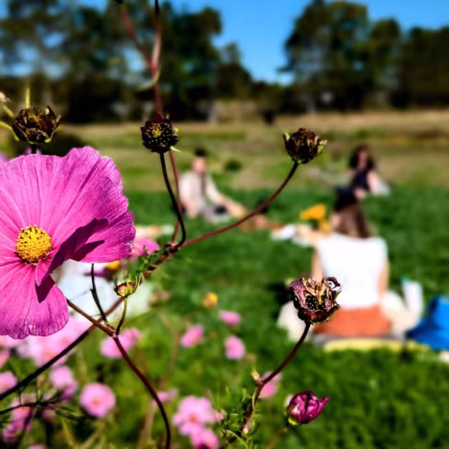 Atelier de méditation