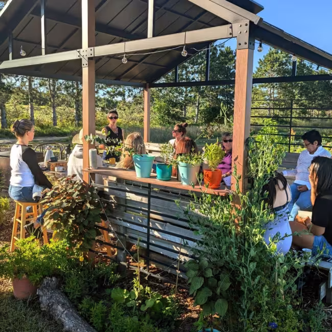 Les jeudis 5 à 7 avec les plantes