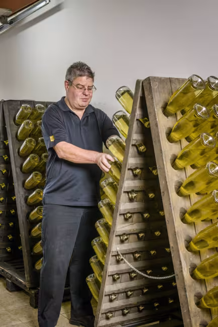 Vignoble Le Cep d'Argent