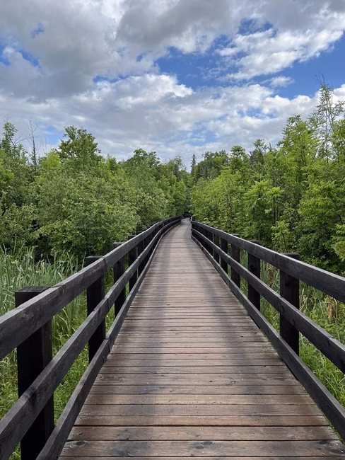 Parc de la Forêt-Boucher