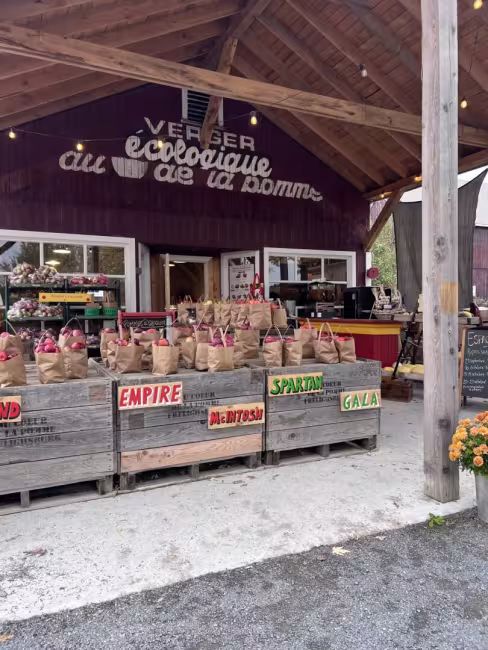 Au coeur de la pomme