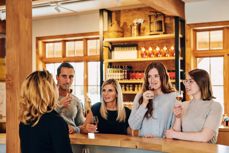 Tastings at the vineyard                                       