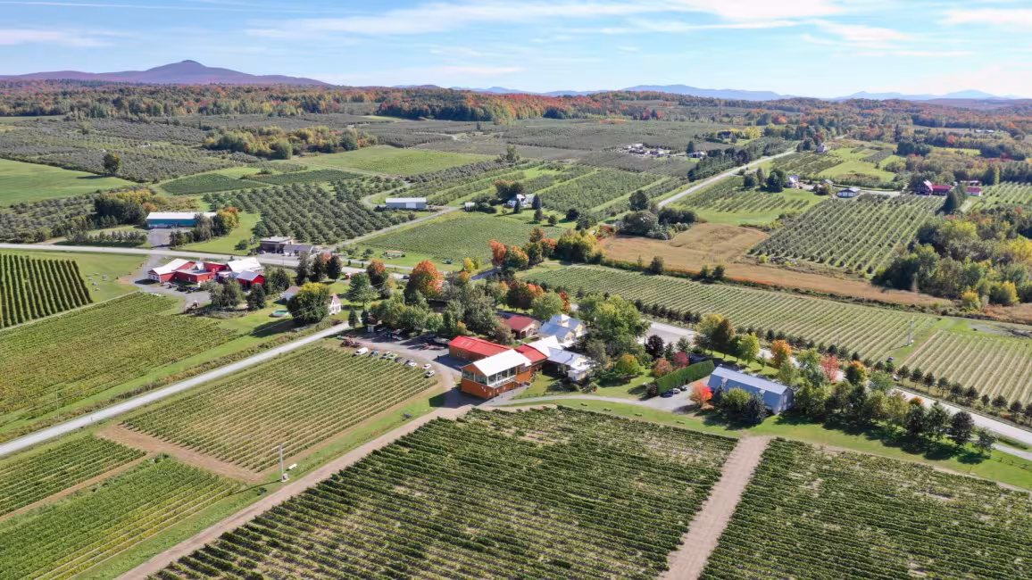 Aerial view of the Orpailleur Vineyard