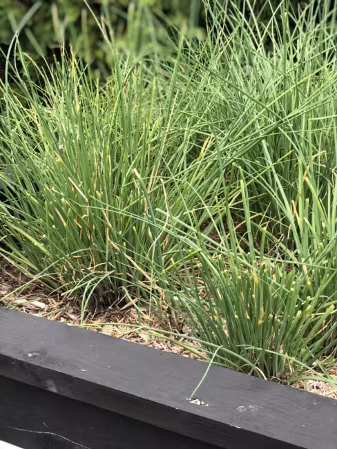 La Marine Marchande & CO