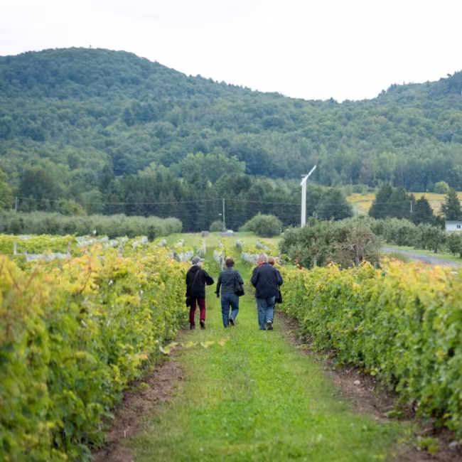 Laurianne Gervais Courchesne