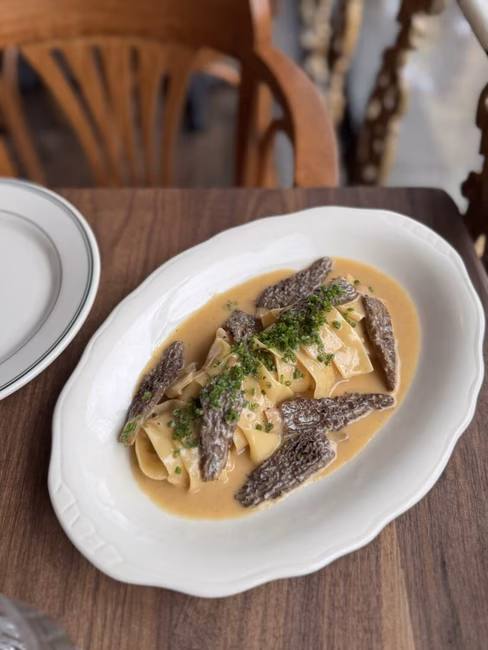 Café Miracolo - Morilles