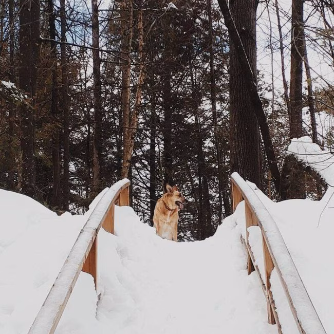 Parcs en hiver - tourismemrcjoliette_hiver_parc_du_bois_brule