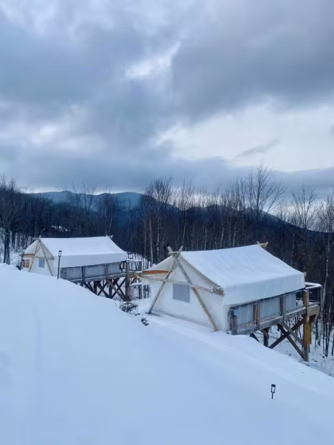 Domaine de la Forêt enchantée
