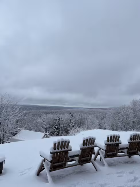 Domaine de la Forêt enchantée