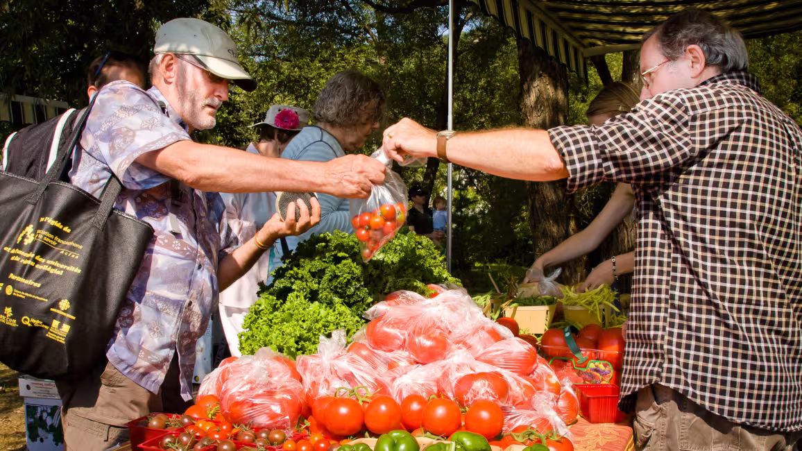 Marché champêtre de North Hatley