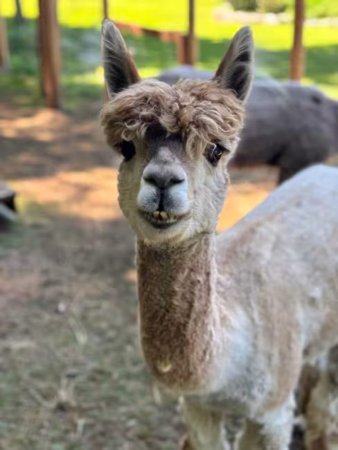  Lanaudière mon amour