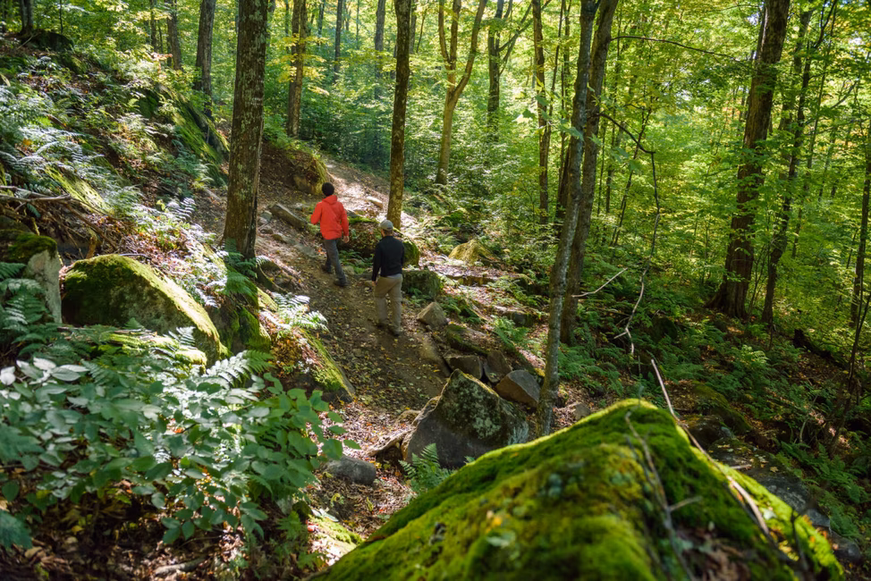 Parc national du Mont-Mégantic