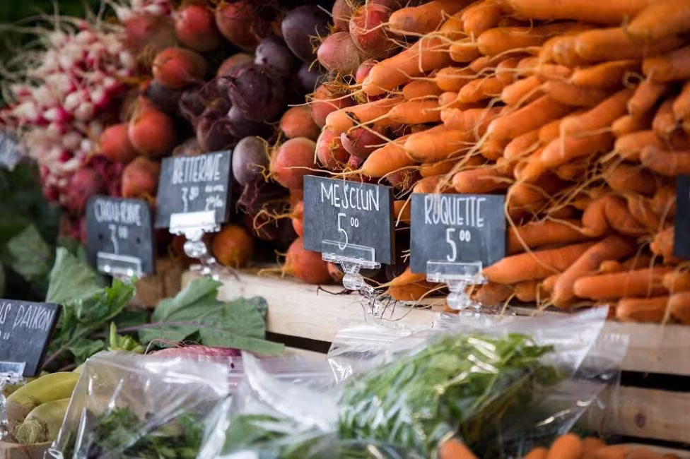 Tourisme Granby région