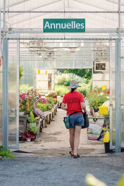 Joelle Poirier     PHOTOGRAPHIE