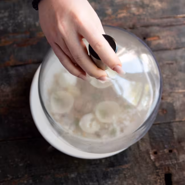 Aurore_C Photographe