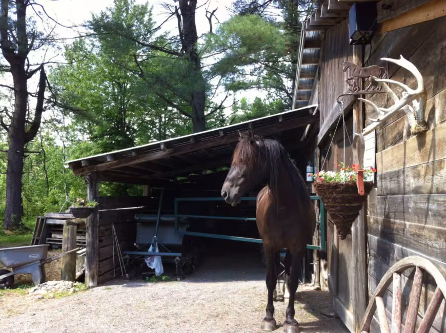 École internationale d'étude de la terre