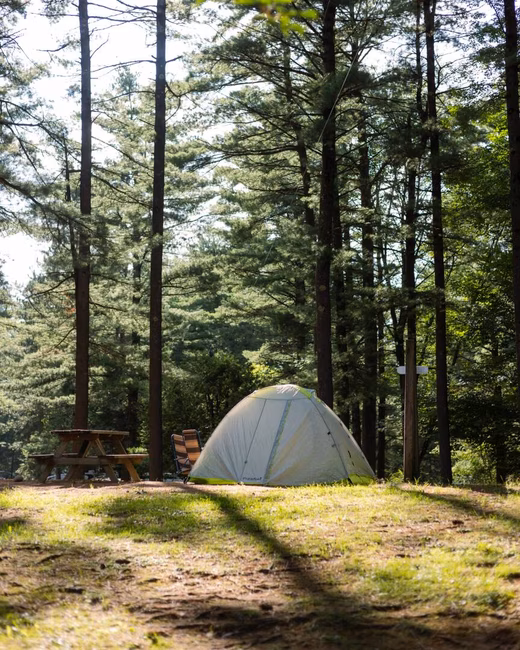 Camping