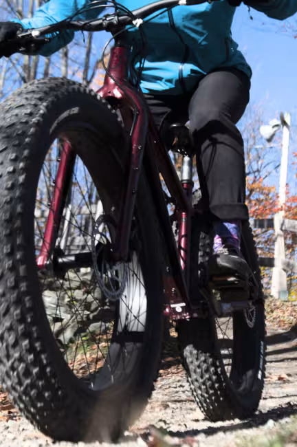 Regroupement du Parc du Mont-Bellevue