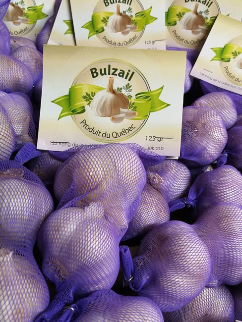 Bulzail