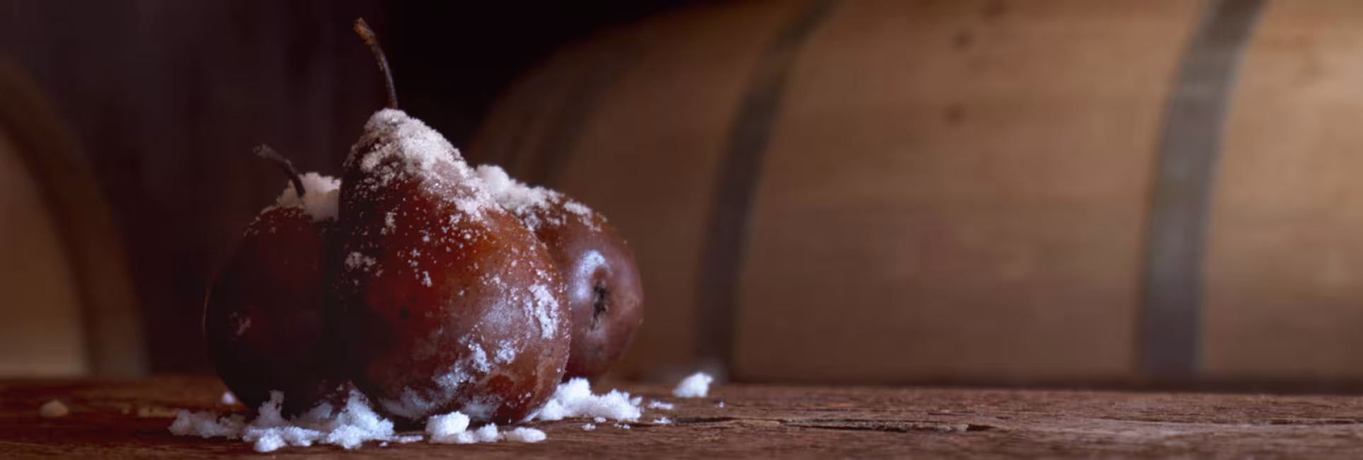 Domaine des Salamandres