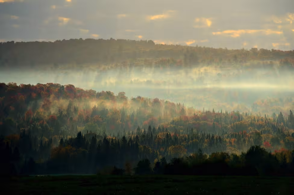 Parc régional du Mont-Ham