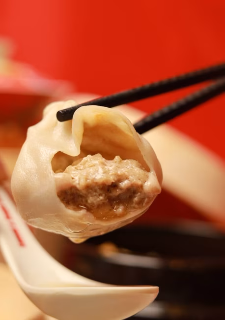 Sammi & Soupe Dumpling - Royalmount - Un délicieux dumpling
