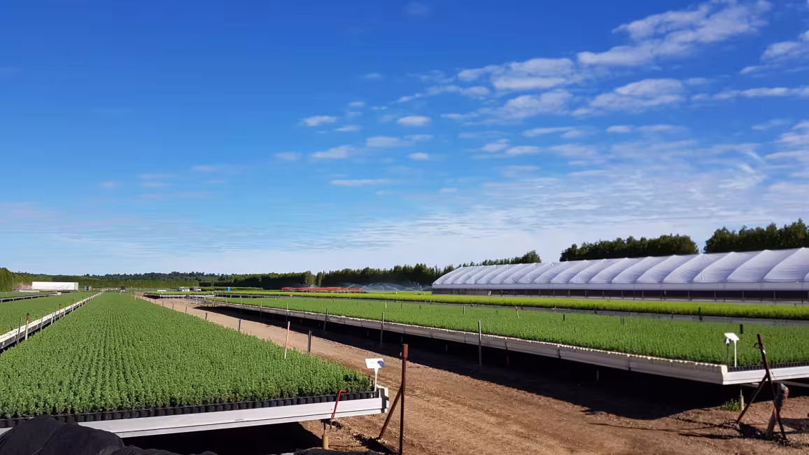 Association forestière de Lanaudière