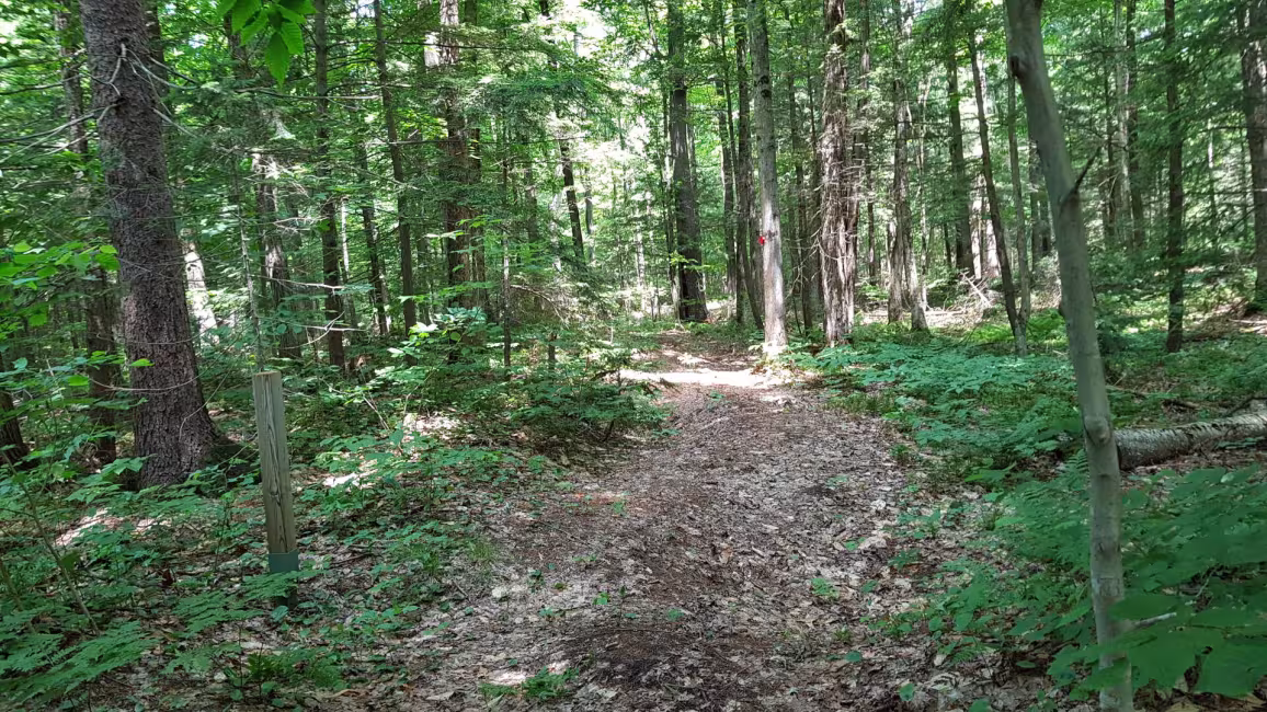 Association forestière de Lanaudière