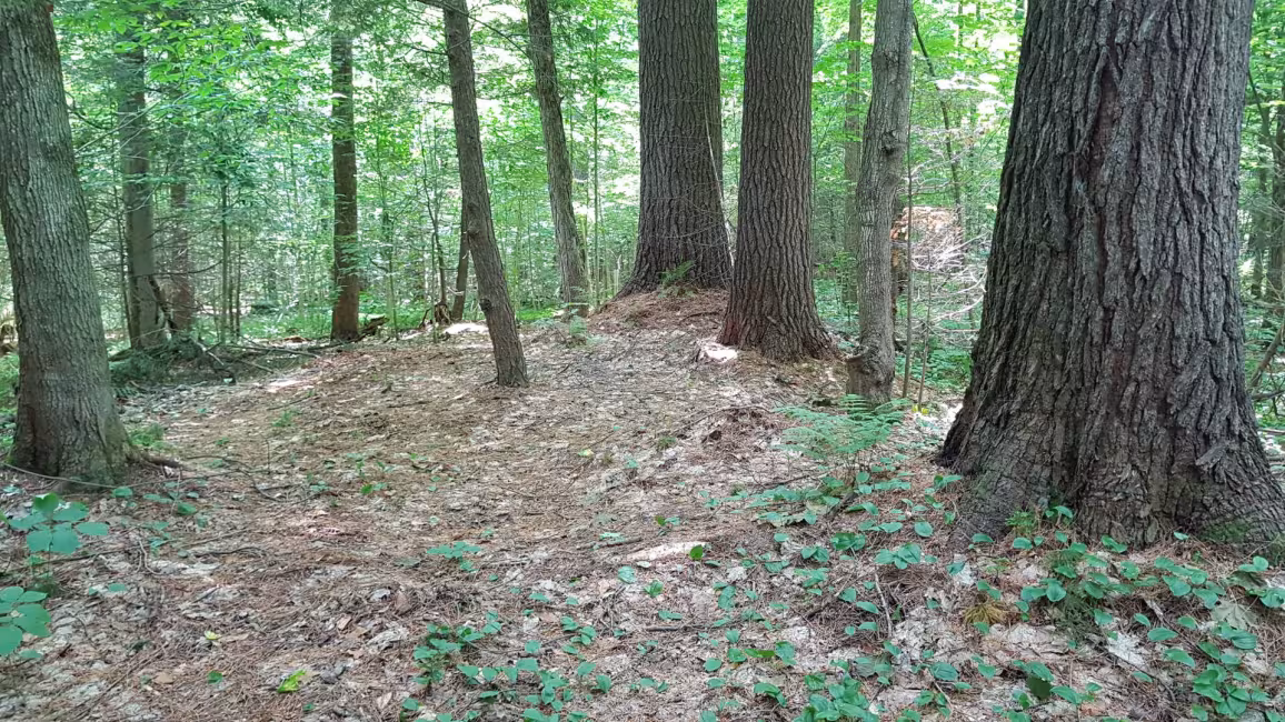 Association forestière de Lanaudière