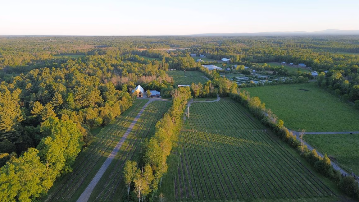 Vignoble Hemmingford - Vue aérienne