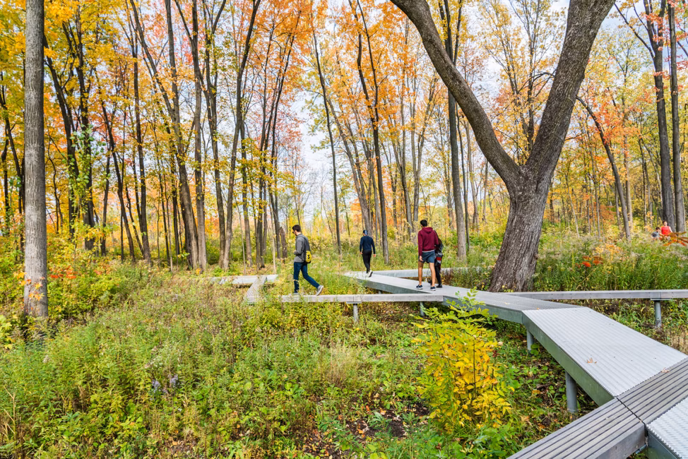 Parc-nature du Bois-de-Liesse - Randonnée en automne