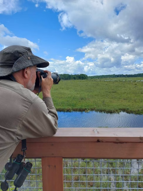 Observation d’oiseaux 