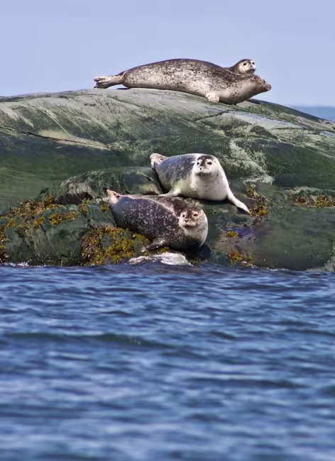 Sépaq / Crédit Yvan Heppell