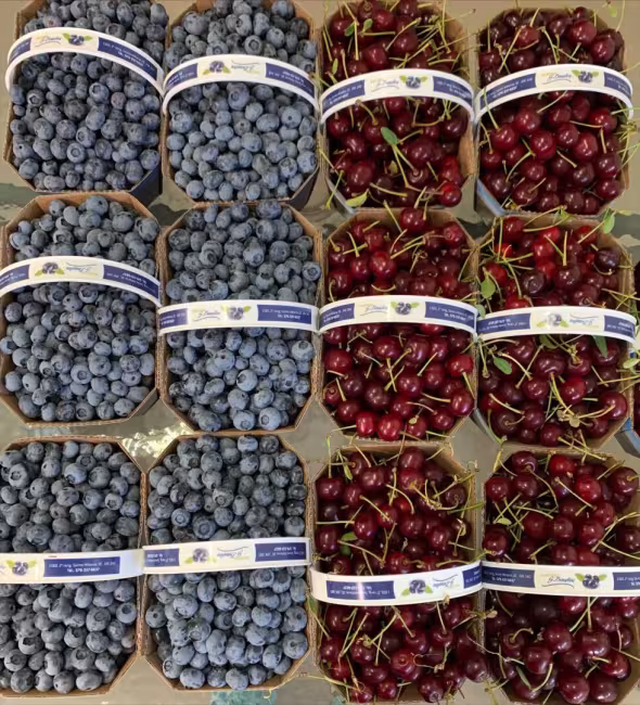 Bleuetière G. Beaulieu