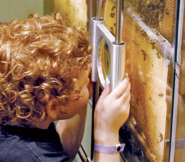 Miellerie Lunede Miel