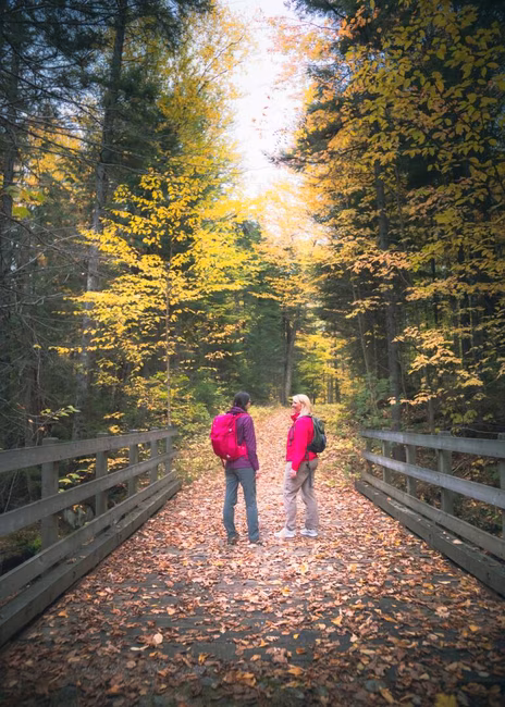 Randonnée pédestre - Parc national du Mont-Tremblant - 4