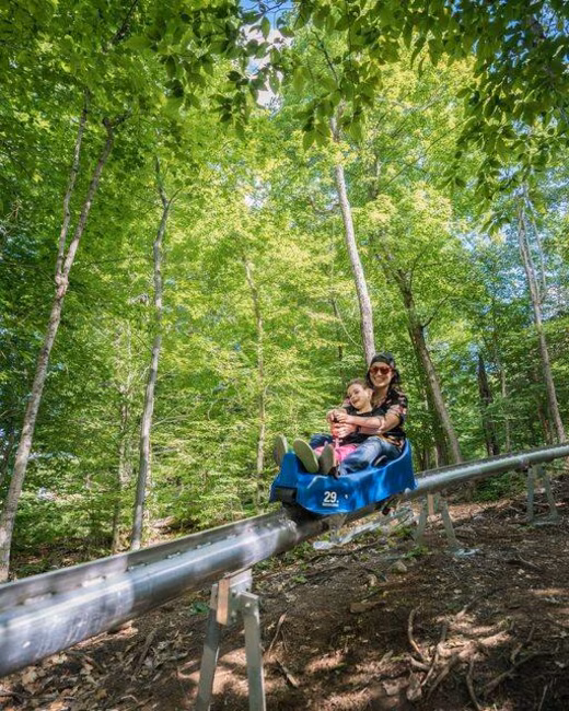 Luge en montagne