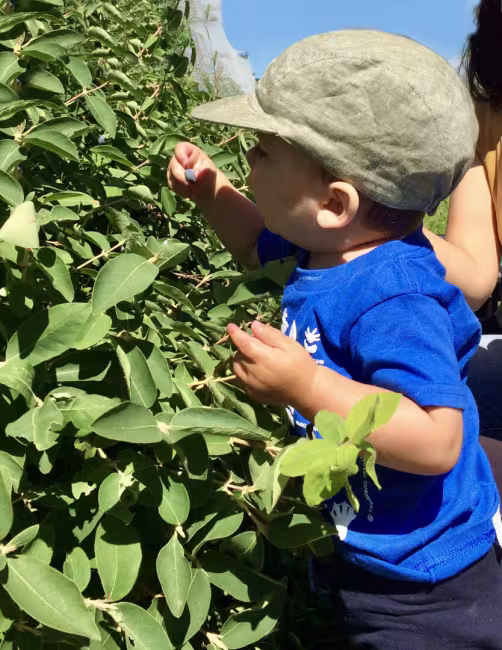 Les Jardins de Vieuxpont
